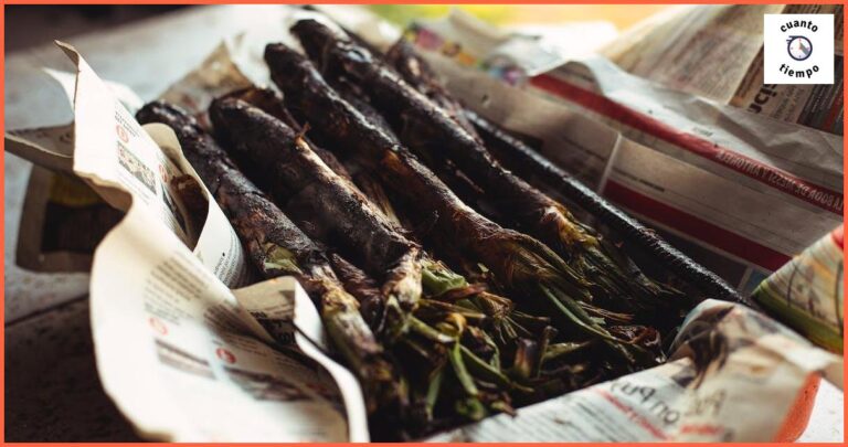 Cocer Morcilla de Cebolla: Todo lo que necesitas saber Cocer Morcilla de Cebolla: Todo lo que necesitas saber