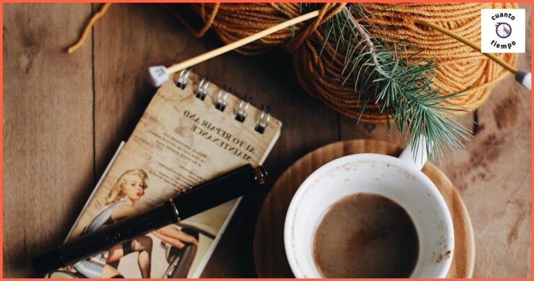 Cuanto tarda Shein en devolver el dinero