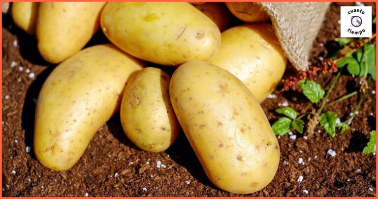 Cuanto tiempo freír patatas para tortilla: Consejos y trucos