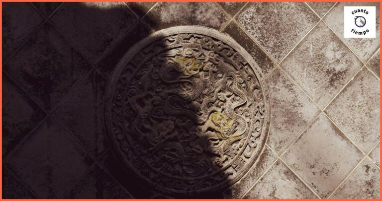 Cuánto tiempo hay que llevar una escayola Cuánto tiempo hay que llevar una escayola